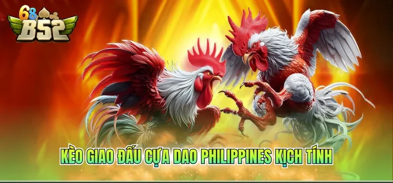 Kèo Đá Gà Hôm Nay – Bí Quyết Đặt Cược Thắng Lớn 2026 2 Kèo giao đấu cựa dao Philippines kịch tính