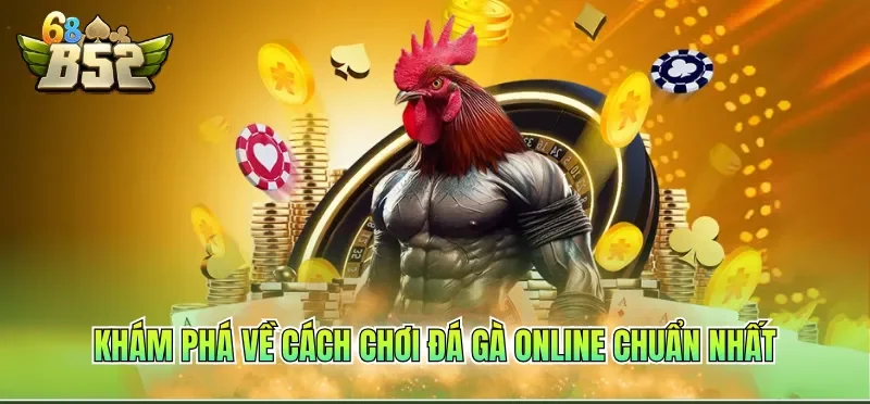 Cách Chơi Đá Gà Online Luôn Thắng Tại Hệ Thống Giải Trí 3 Khám phá về cách chơi đá gà online chuẩn nhất